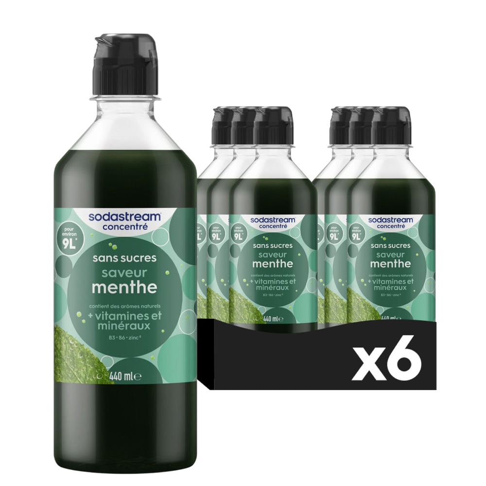 6-Pack Sirop Menthe sans sucres 440ml – 1