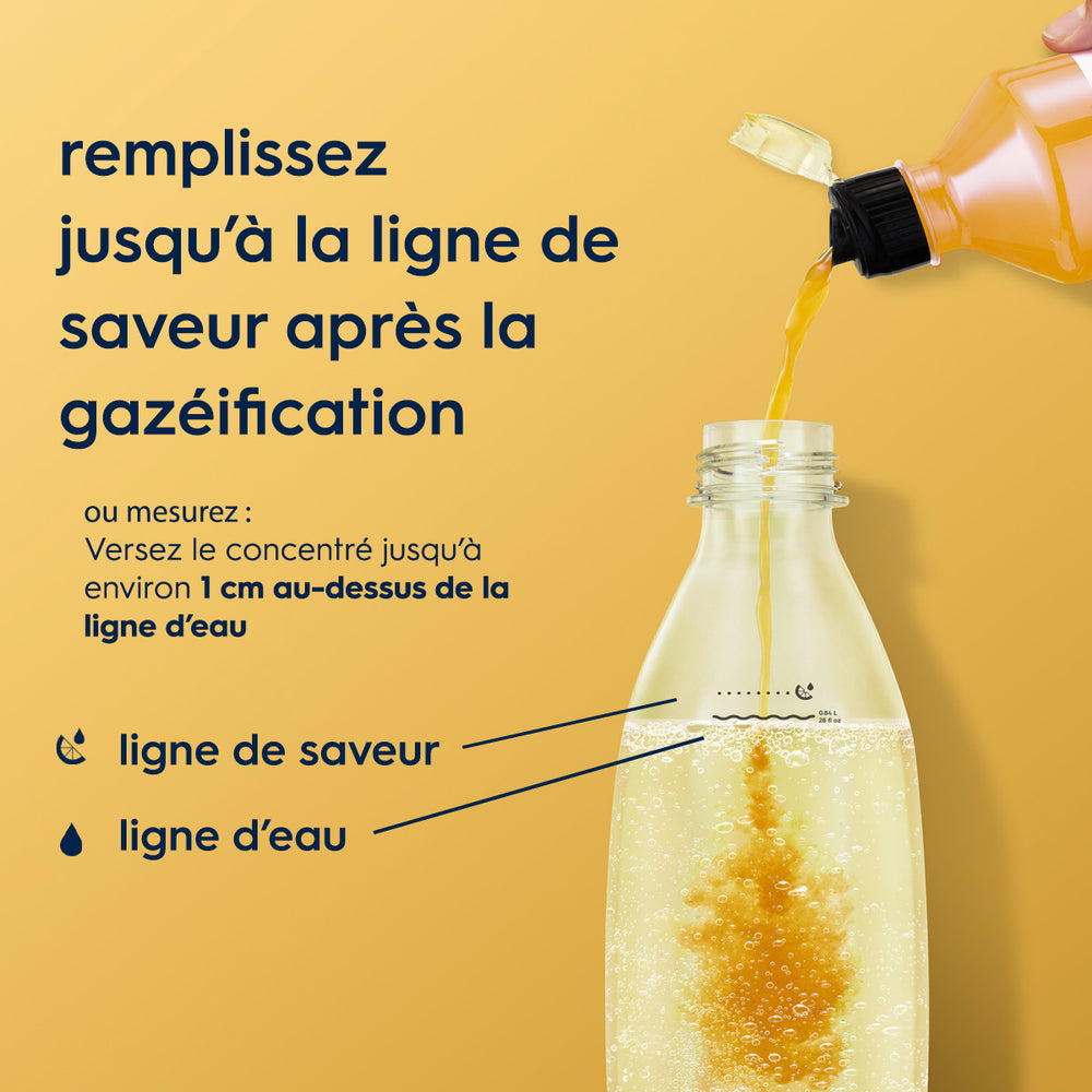 Sirop Agrumes 440ml – 4